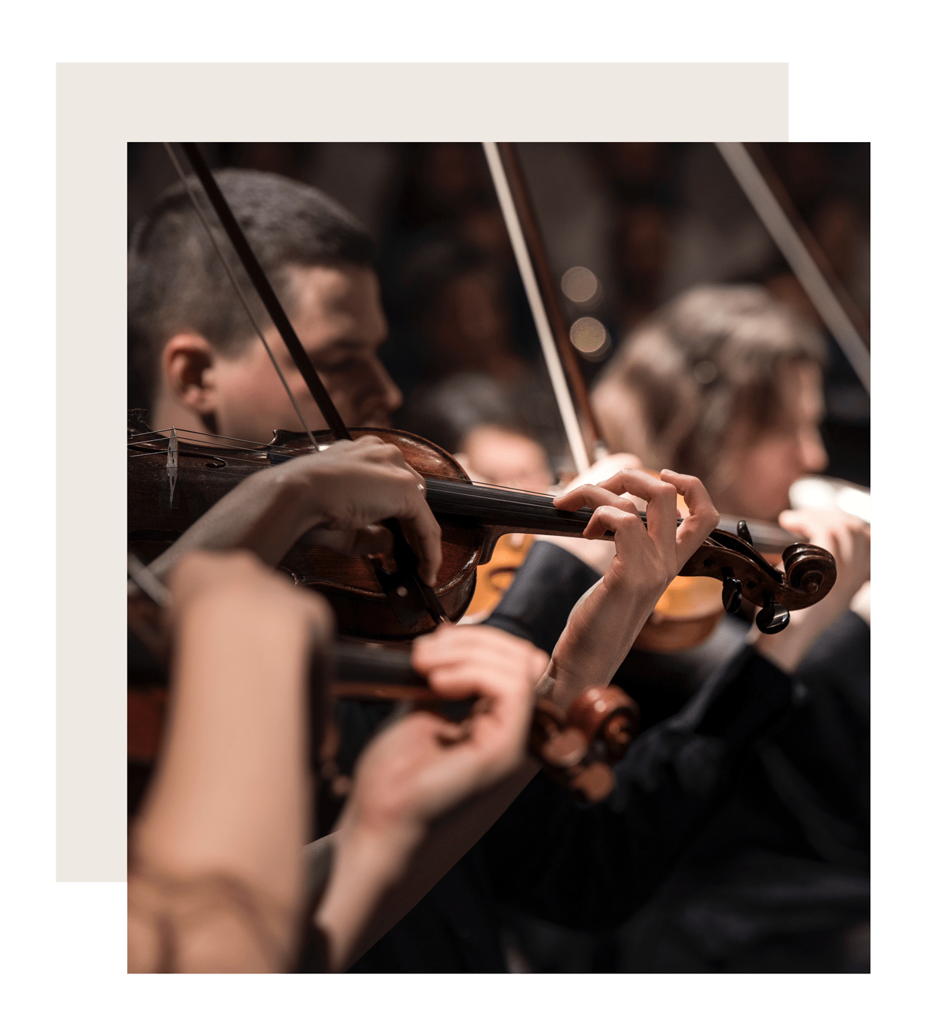 Violinist in close-up